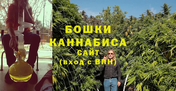 дурь Заводоуковск