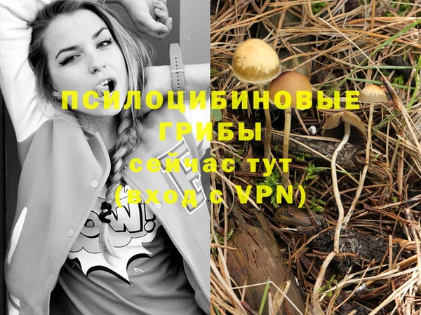 мдпв Заволжск