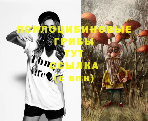 спайс Заволжье
