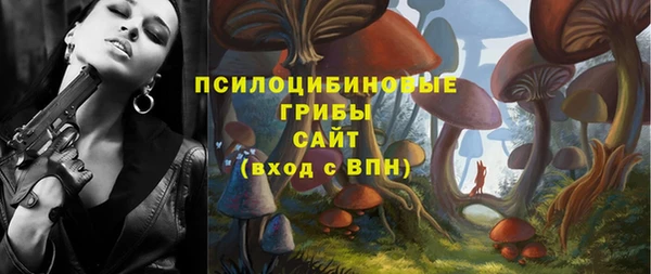 мдпв Заволжск
